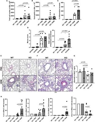 Plexin B1 controls Treg numbers, limits allergic airway inflammation, and regulates mucins